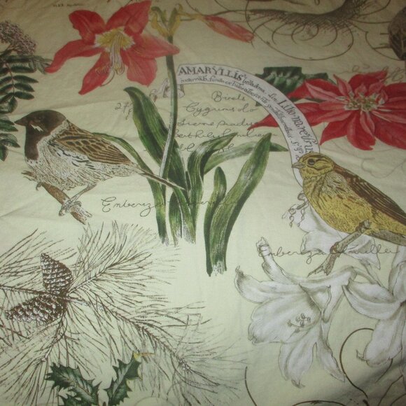 RARE Pottery Barn Amaryllis & Bird Botanical F/Q Duvet Cover & 2 Euro Shams - Picture 4 of 12